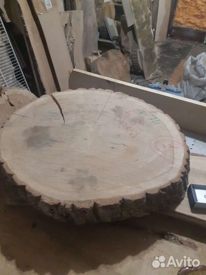 Торцевой спил Дуба