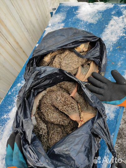 Рубец говяжий,фарш говяжий