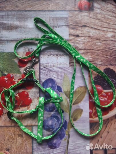 Одежда для мелких собак