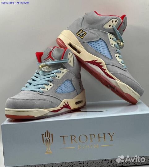 Кроссовки Nike Air Jordan 5 Retro Grey (Арт.96742)