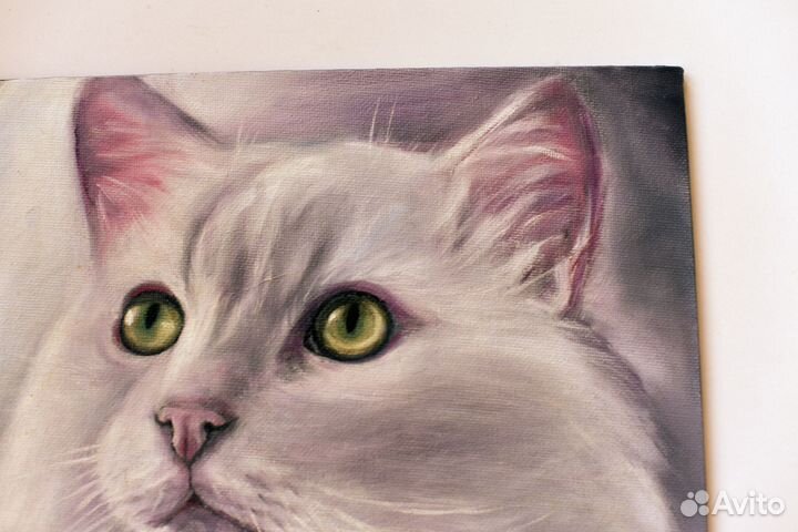 Картина маслом Портрет Белого кота
