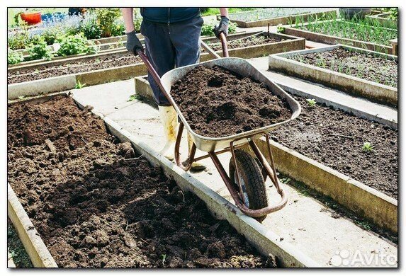 Чернозем, перегной, удобрения