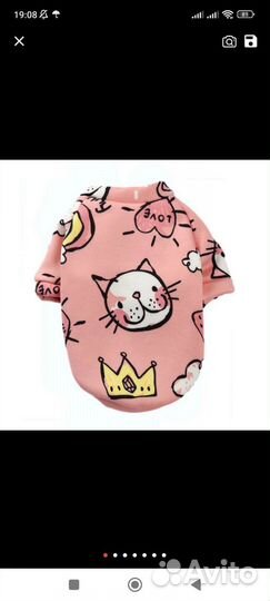 Одежда для собак мелких пород