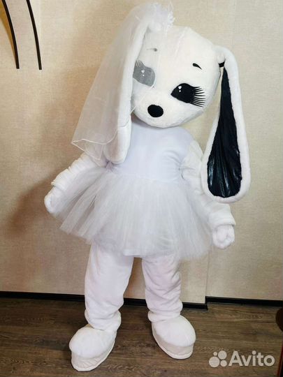 Экспресс поздравление