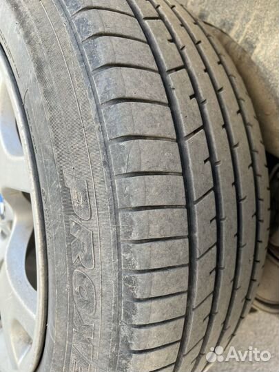 Toyo 310 225/55 R19 и 10/55 R19
