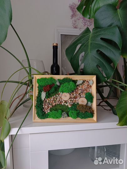 Картина из стабилизированного мха