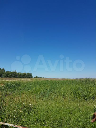 Участок 40 сот. (ИЖС)