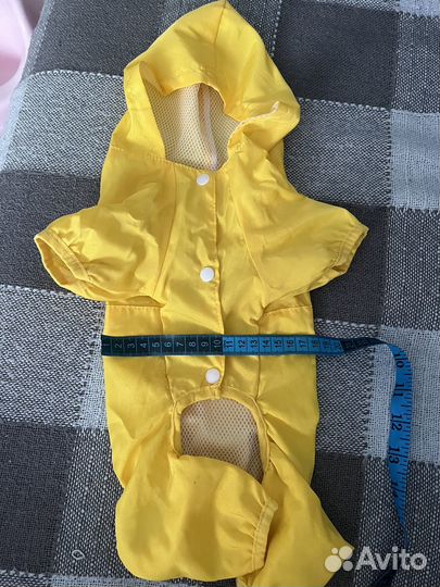 Одежда для маленьких собак и кошек