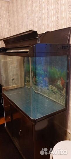Аквариум с тумбой 280 литров