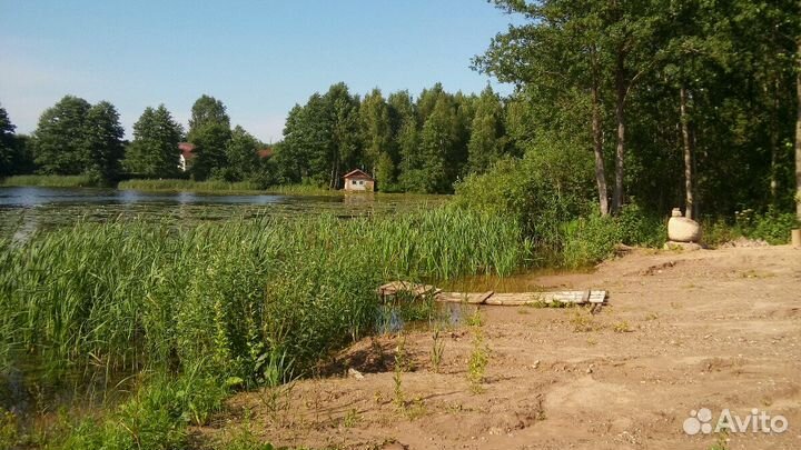 Очистка водоёмов