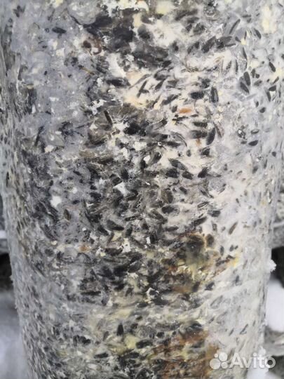 Мульча из лузги подсолнечника