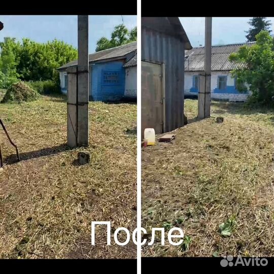 Спил деревьев, чистка участков, покос травы
