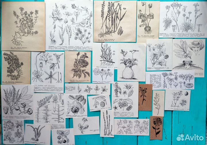 Наборы чёрно белые, фотореквизит