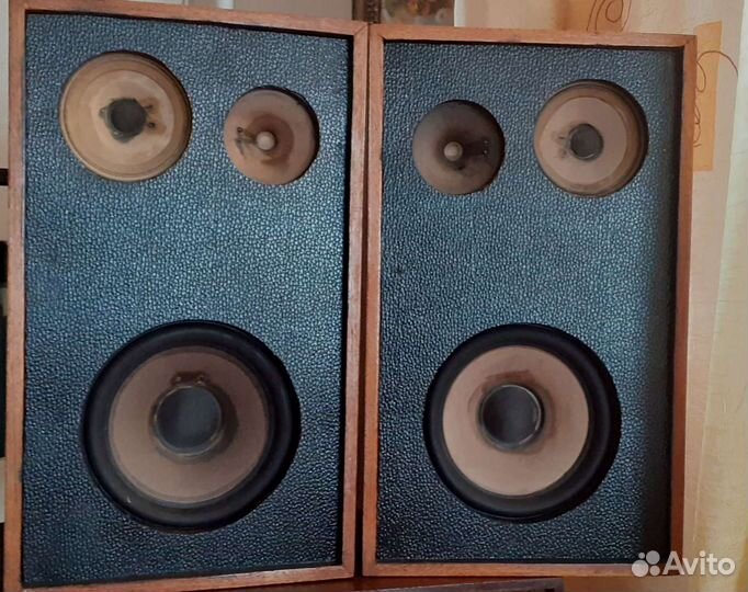 Эстония вега комета