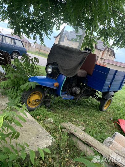 Муравей мотороллер