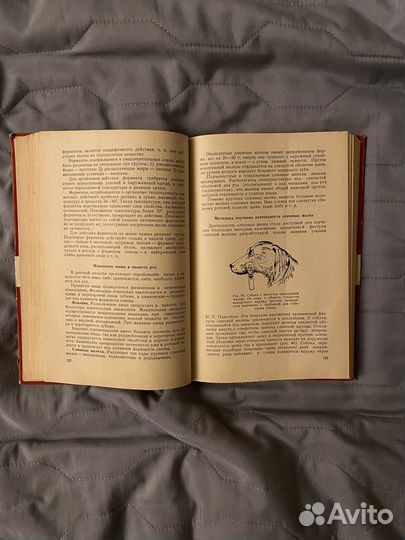 Физиология А.А. Маркосян