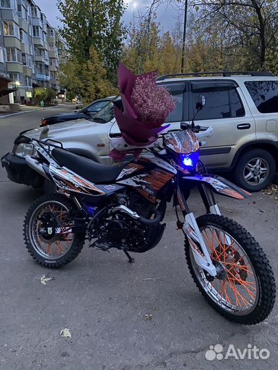 Racer Panther 300