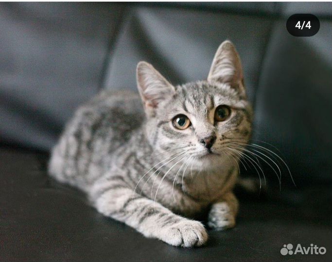 Селена 4 месяца