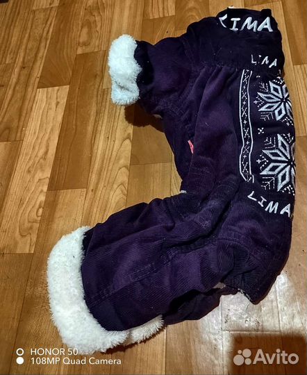 Одежда для собак мелких пород