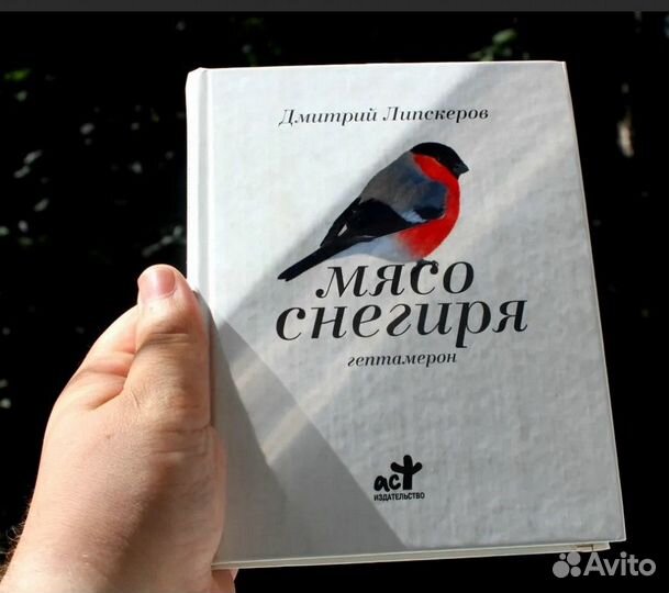 Книга Липскеров 