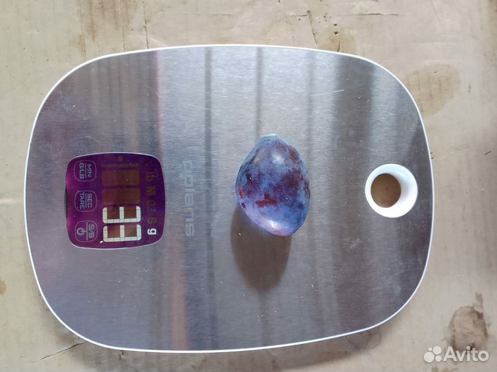 Слива и персик оптом