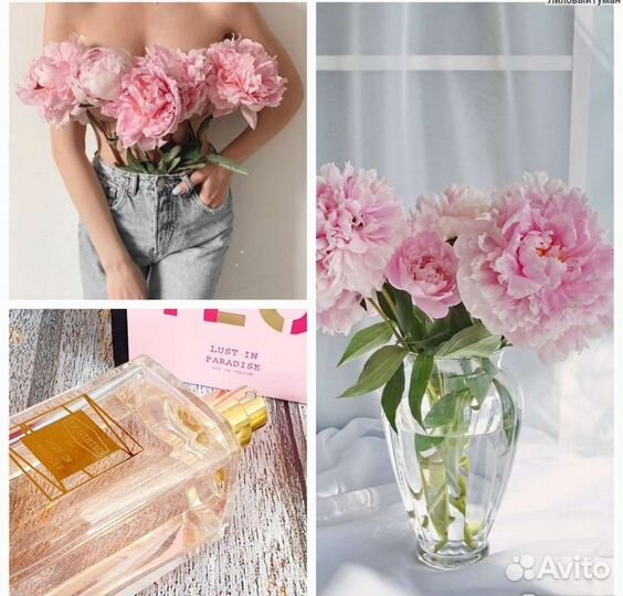 Ex Nihilo, Lust In Paradise, 100ml