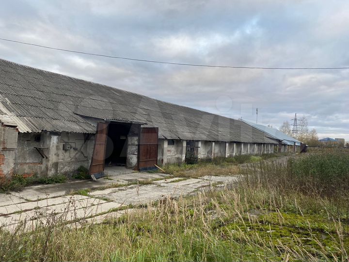 Склад, 1950 м²