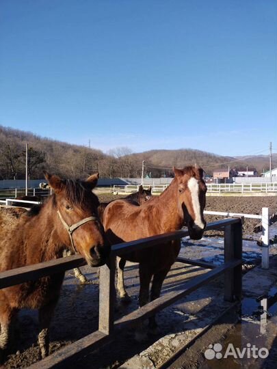 Поход в горы