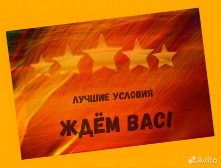 Оператор на производство Еженедельные выплаты Без опыта