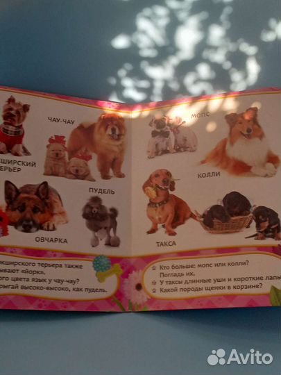 Детская книга про собак