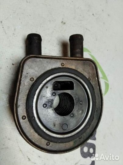 Радиатор масляный Renault Scenic 2003 2009