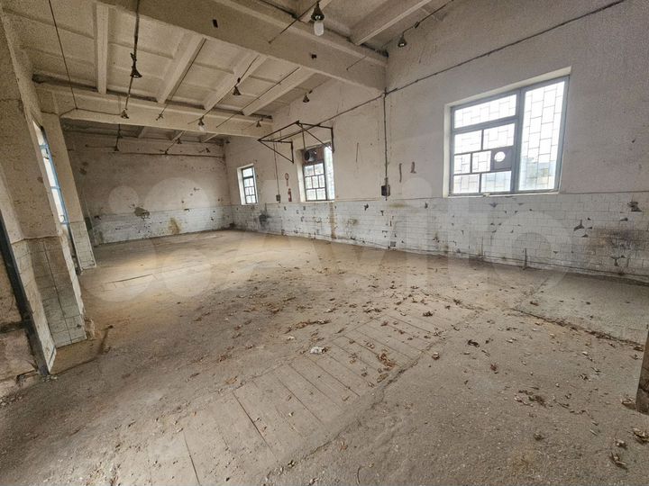 Общепит, 145 м²