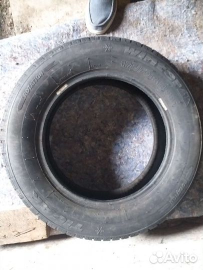 Tigar Winter 175/70 R14