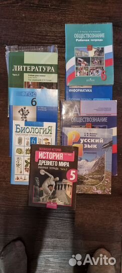 Рабочие тетради, учебники 5 и 6 класс