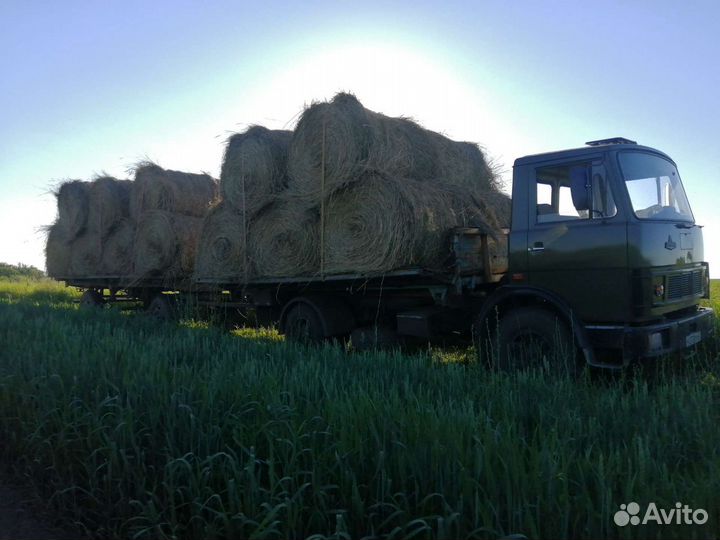 Продаём сено