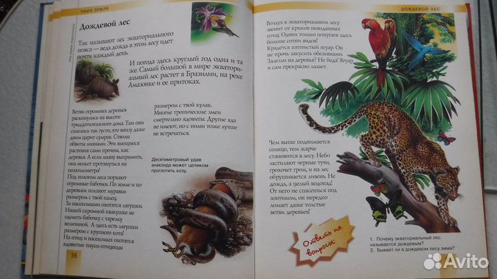 Моя первая энциклопедия