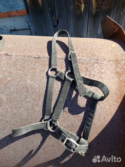 Недоуздки для лошади и пони