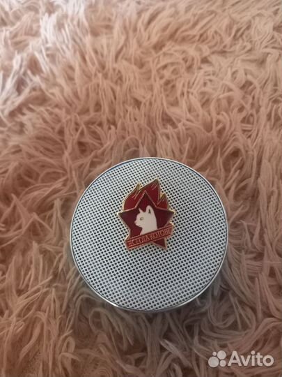 Значок Всегда Котов, подСССРпионера всегда готов