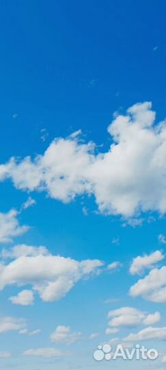 Повар универсал