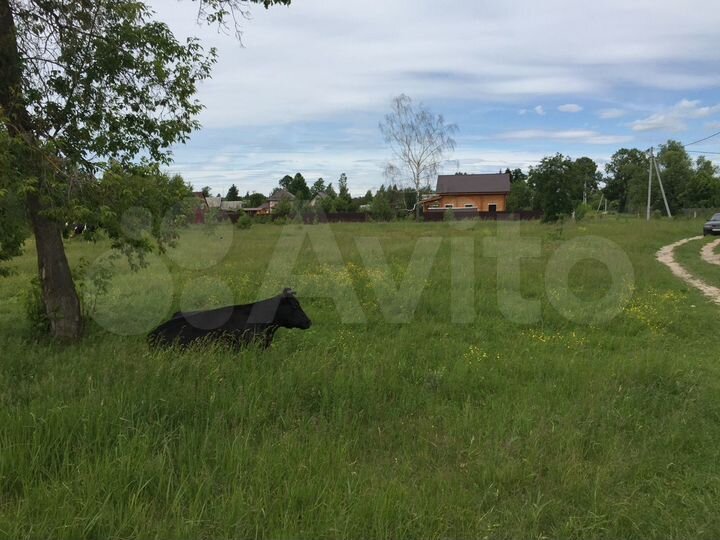 Участок 10 сот. (ИЖС)