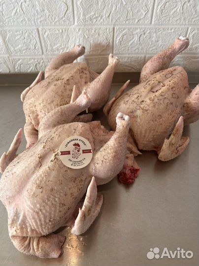 Домашнее мясо кур