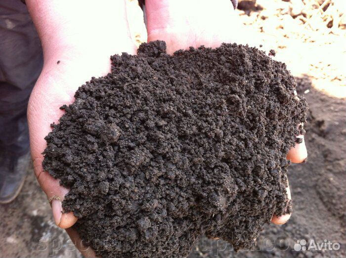 Чернозем Грунт плодородный в Черняховске