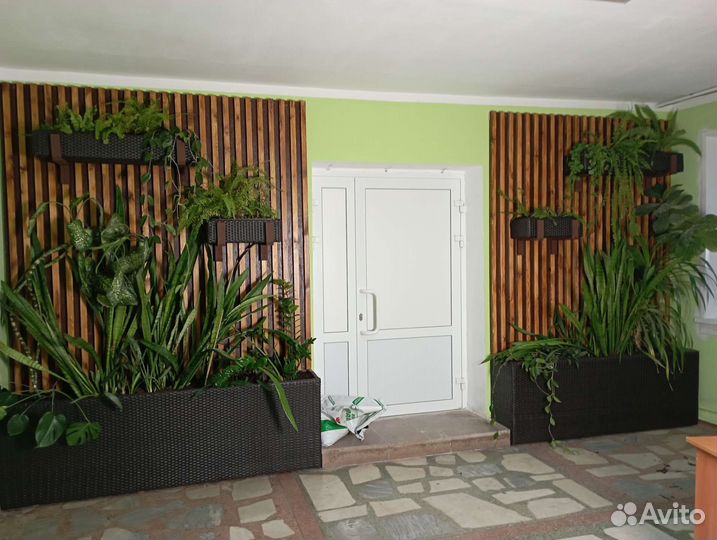 Зеленая зона в холл