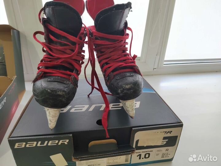 Хоккейные коньки bauer nexus