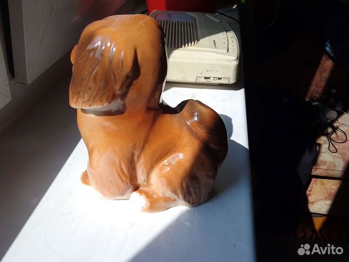 Пекинес. лфз