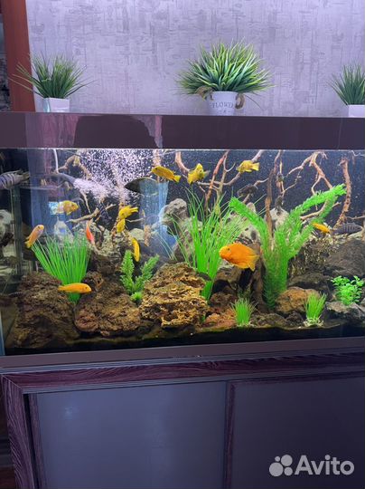 Украшение для аквариума