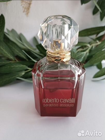 Paradiso Assoluto Roberto Cavalli оригинал распив