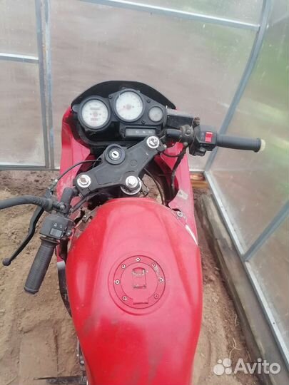 Мопед Sprinter 50cc (125сс)