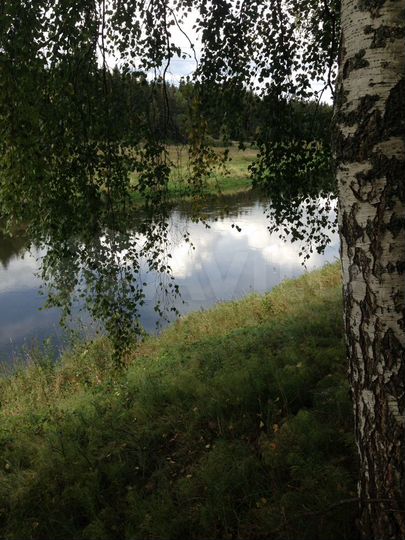 Участок 100 сот. (СНТ, ДНП)