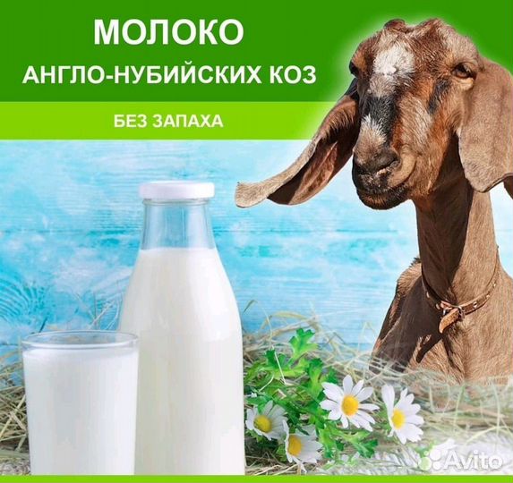 Козье молоко, масло